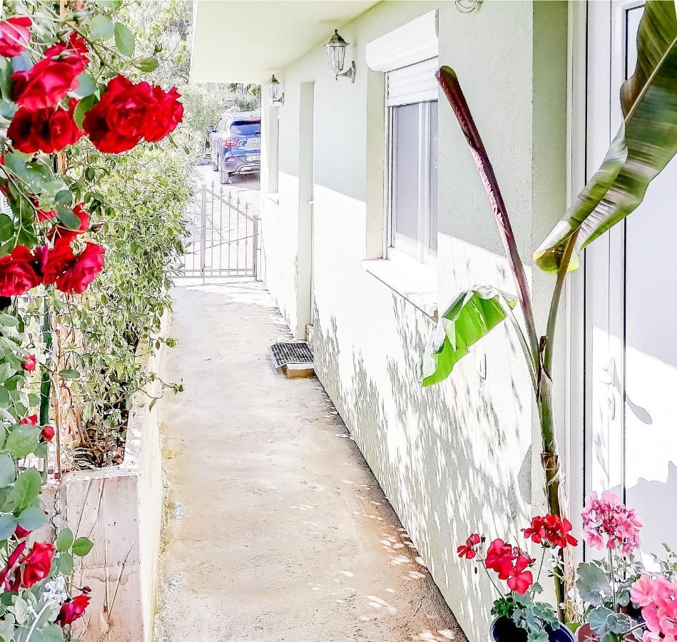 Apartments Siesta Tivat Luaran gambar