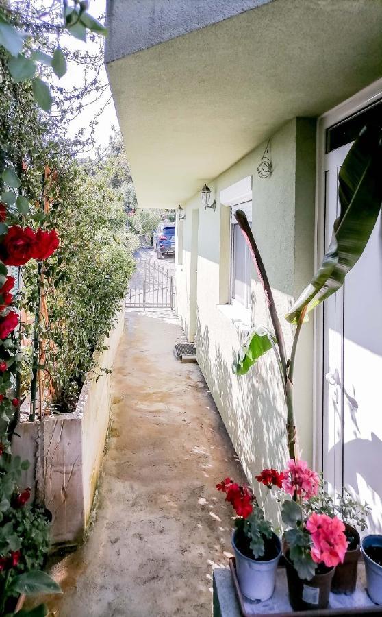 Apartments Siesta Tivat Luaran gambar